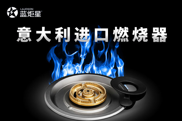 意大利進口燃燒器