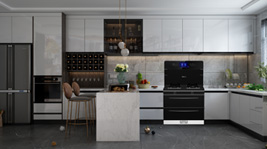 藍炬星&周迅·2號plus簡約而智慧