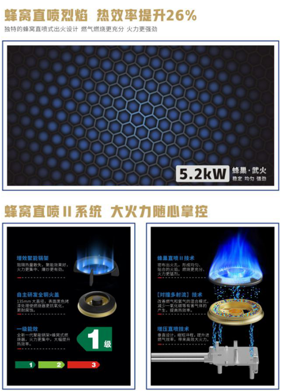 藍(lán)炬星集成灶蜂窩直噴烈焰